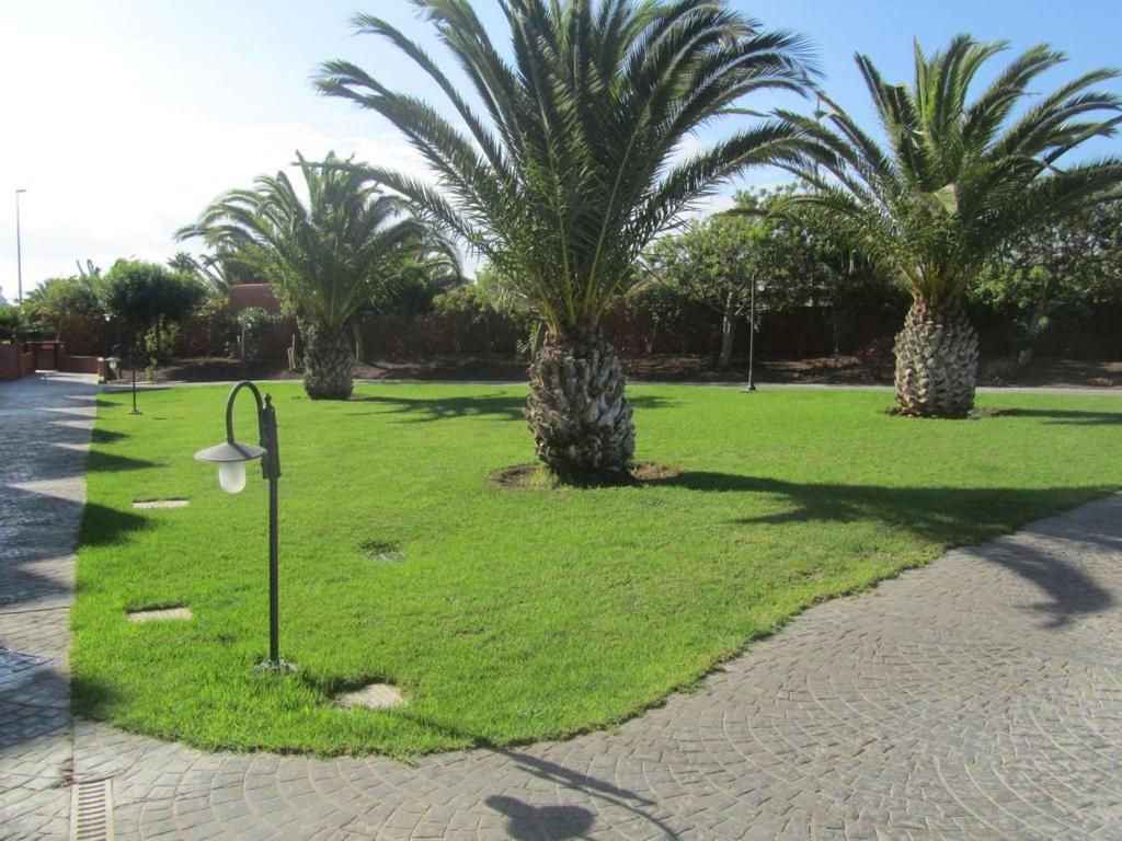 Apartament Moleiro- *